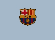 关于意甲最新形势：AC米兰高居榜首，费内巴切强势追赶，冠军归属成迷的信息